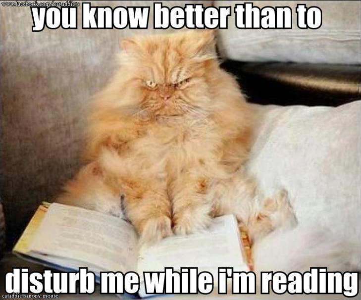 disturb me while reading