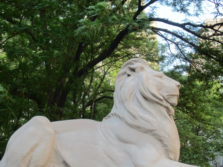 NYPL lion
