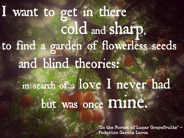 i want to get in there cold and sharp to find a garden of flowerless seeds and blind theories in search of a love i never had but was once mine - federico garcia lorca, in the garden of lunar grapefruits