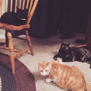 Marceline, Angel, and Spike